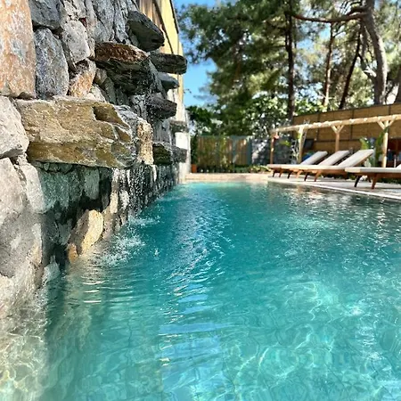 Esmahan Forest And Pool By Zehra Apartman *