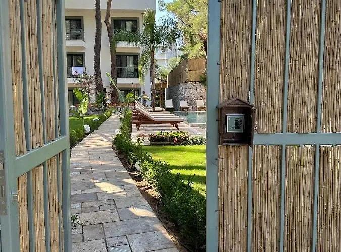 Esmahan Forest And Pool By Zehra *