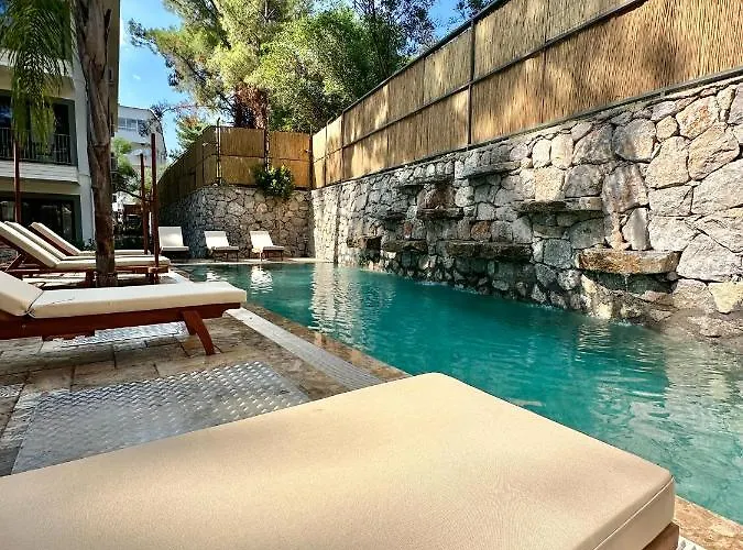 Esmahan Forest And Pool By Zehra Daire